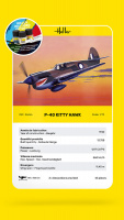 STARTER KIT P-40 Kitty Hawk - 1:72