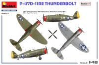 P-47D 11RE - Thunderbolt - Basic Kit - 1:48