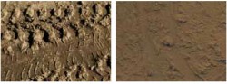 Vallejo Texturen - Braune Erde / Brown Earth