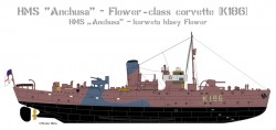 Flower Class Corvette K186 - HMS Anchusa - 1:350