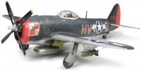 Republic P-47M Thunderbolt - 1/48