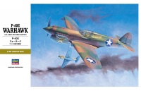 P-40E Warhawk - US Army Air Force Fighter - 1/32