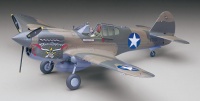 P-40E Warhawk - US Army Air Force Fighter - 1/32