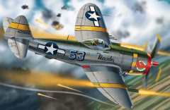 Republic P-47D Thunderbolt - 1/48